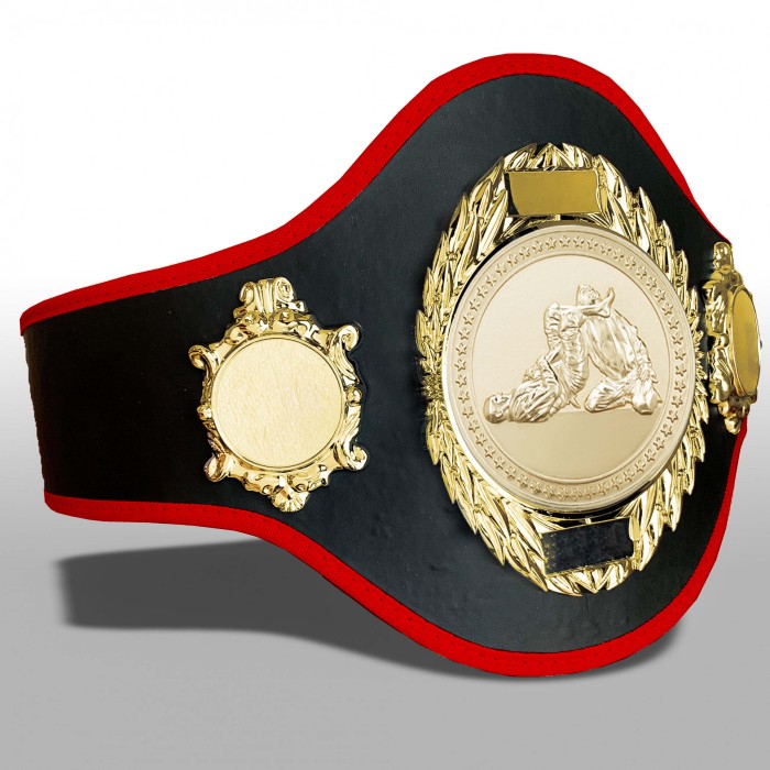 JIU JITSU CHAMPIONSHIP BELT-PRO286/G/JJG-10+ COLOURS